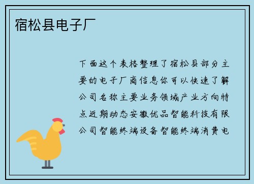 宿松县电子厂